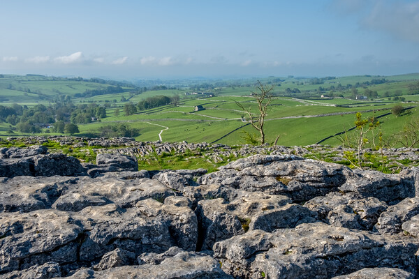 Limestone Pavement Malham: A Geological Wonder Picture Board by Steve Smith