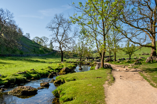 Malham Beck's Serene Flow Picture Board by Steve Smith