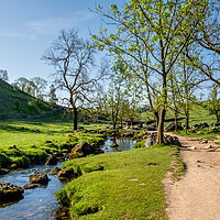 Buy canvas prints of Malham Beck's Serene Flow by Steve Smith