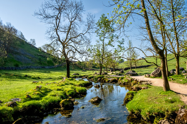 Malham Beck's Serene Flow Picture Board by Steve Smith