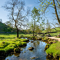 Buy canvas prints of Malham Beck's Serene Flow by Steve Smith