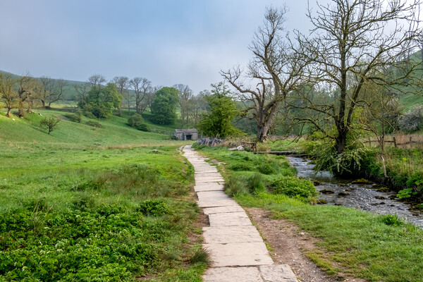 Malham's Winding Path to Janet's Foss Picture Board by Steve Smith
