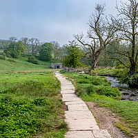 Buy canvas prints of Malham's Winding Path to Janet's Foss by Steve Smith