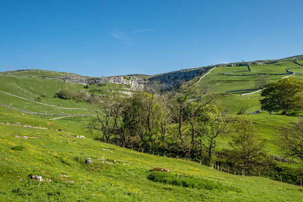 Malham Cove: A Natural Wonder. Picture Board by Steve Smith