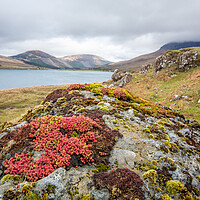 Buy canvas prints of Glen Brittle: Rugged Natural Beauty by Steve Smith