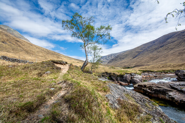 Scottish Wilderness: Glen Etive Adventure Picture Board by Steve Smith