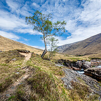 Buy canvas prints of Scottish Wilderness: Glen Etive Adventure by Steve Smith