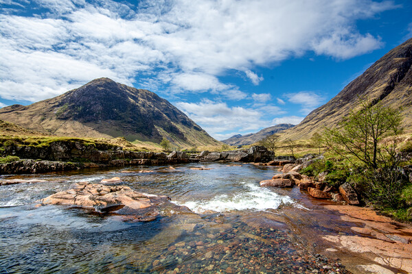 Glen Etive: Where Wilderness Thrives Picture Board by Steve Smith
