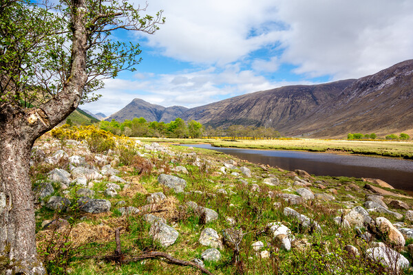 Loch Etive: A Photographer's Paradise Picture Board by Steve Smith