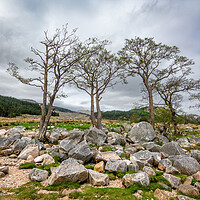 Buy canvas prints of Captivating Loch Etive's Majestic Charm by Steve Smith