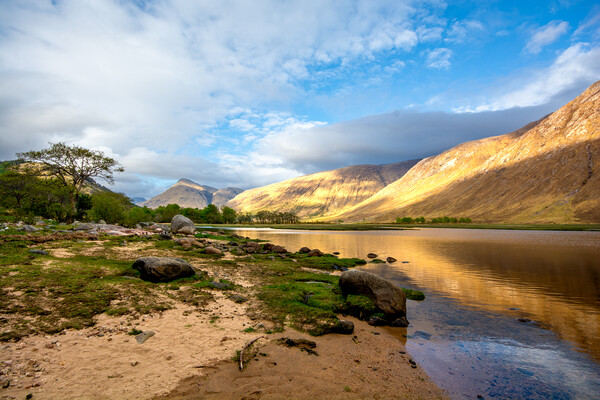 Wilderness Adventure at Loch Etive Picture Board by Steve Smith