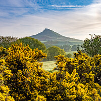 Buy canvas prints of Capturing the Beauty of Roseberry by Steve Smith