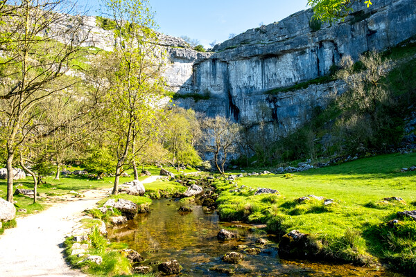 Malham Cove: Nature's Masterpiece Picture Board by Steve Smith