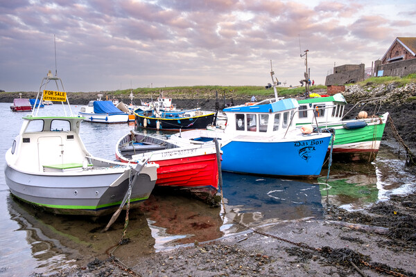 Coastal Delight: Paddy's Hole Harbour Picture Board by Steve Smith