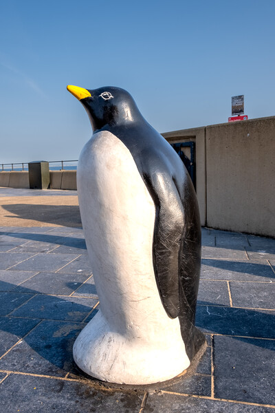 Adorable Redcar Penguin Picture Board by Steve Smith