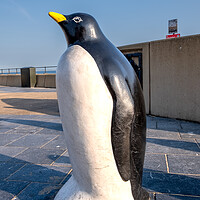 Buy canvas prints of Adorable Redcar Penguin by Steve Smith