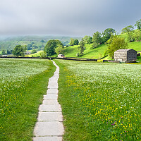 Buy canvas prints of Muker Meadows Swaledale by Steve Smith