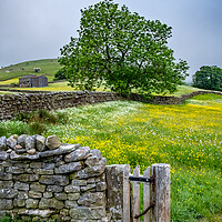 Buy canvas prints of Meadows at Muker by Steve Smith