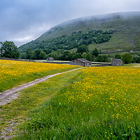 Buy canvas prints of Yellow Meadows At Muker by Steve Smith