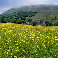 Buy canvas prints of The Muker Buttercups by Steve Smith