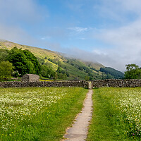 Buy canvas prints of The Paths at Muker by Steve Smith