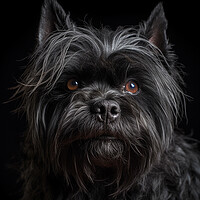 Buy canvas prints of Affenpinscher by Steve Smith