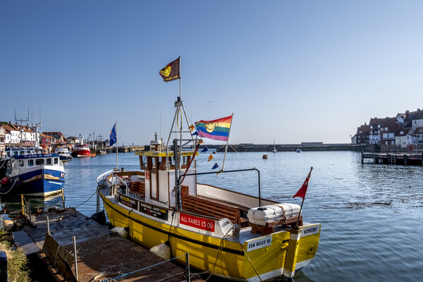 Whitby North Yorkshire Picture Board by Steve Smith