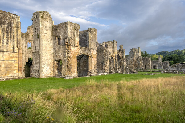 Easby Abbey Richmond North Yorkshire Picture Board by Steve Smith