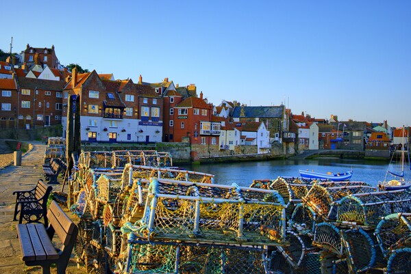 Whitby Lobster Pots Picture Board by Steve Smith
