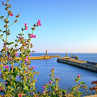 Buy canvas prints of Whitby Piers by Steve Smith