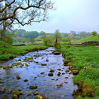 Buy canvas prints of Goredale Beck Malham by Steve Smith