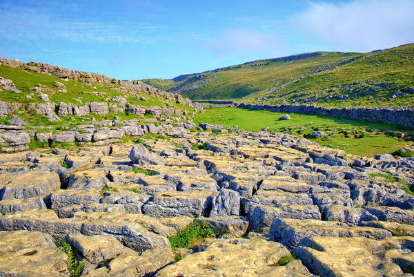 Limestone Pavement Malham Picture Board by Steve Smith