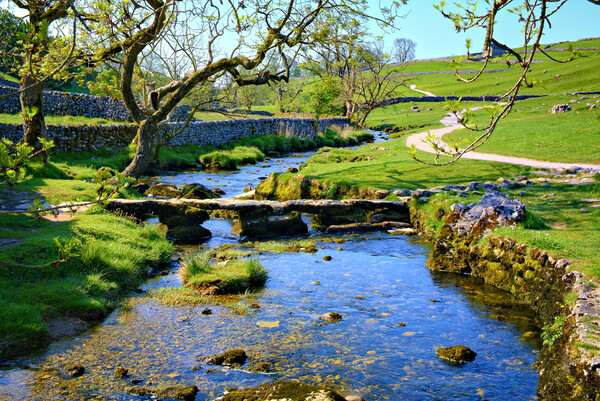 Malham Beck Picture Board by Steve Smith