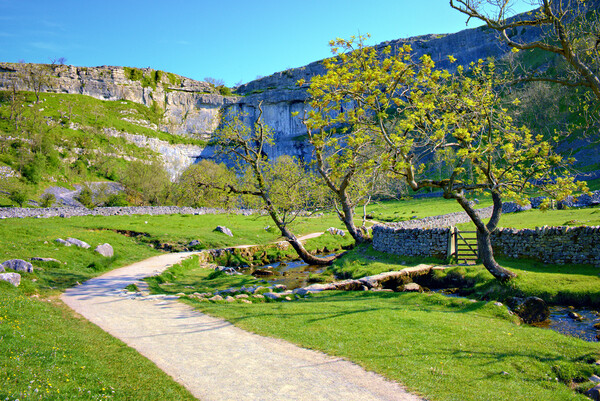 Malham Cove Picture Board by Steve Smith