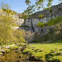 Buy canvas prints of Malham Cove by Steve Smith