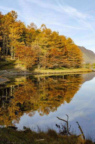 Buttermere Reflections Picture Board by Steve Smith