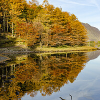 Buy canvas prints of Buttermere Reflections by Steve Smith