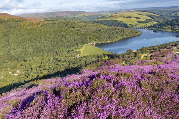 Ladybower From Bamford Edge Picture Board by Steve Smith