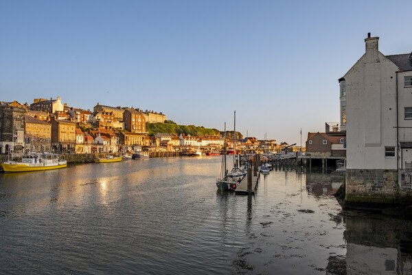 River Esk Whitby Picture Board by Steve Smith