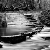 Buy canvas prints of Rivelin Valley Stepping Stones by Steve Smith