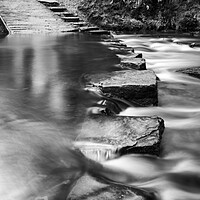 Buy canvas prints of Rivelin Valley Stepping Stones by Steve Smith