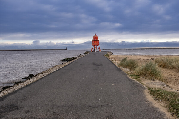 Herd Groyne Lighthouse Picture Board by Steve Smith