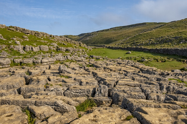 Limestone Pavement Malham Picture Board by Steve Smith