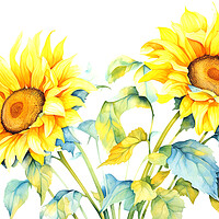 Buy canvas prints of Watercolour Sunflowers by Steve Smith