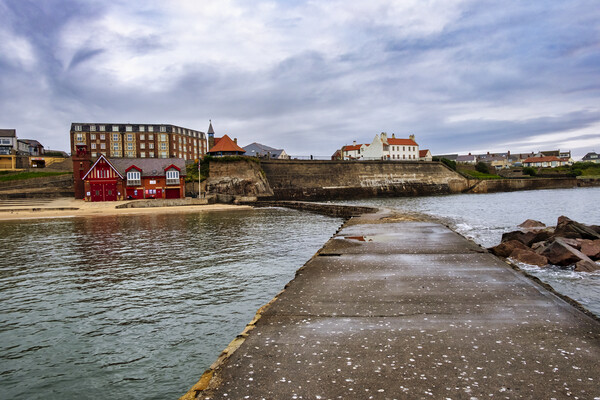Cullercoats North Tyneside Picture Board by Steve Smith