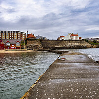 Buy canvas prints of Cullercoats North Tyneside by Steve Smith