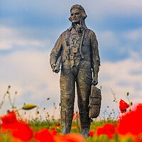 Buy canvas prints of Honouring Our Wings RAF Hero Amidst Poppies by Steve Smith