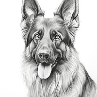 Buy canvas prints of Pencil Drawing German Shepherd by Steve Smith