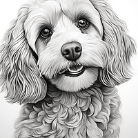 Buy canvas prints of Pencil Drawing Cavapoo by Steve Smith
