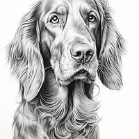 Buy canvas prints of Pencil Drawing Irish Setter by Steve Smith